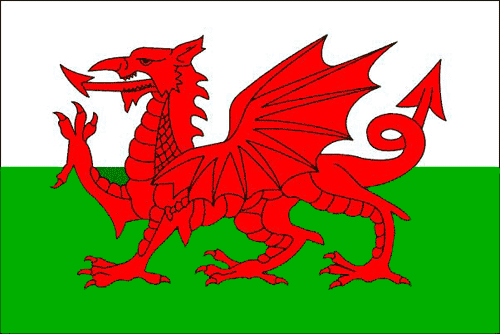 Wlesh flag