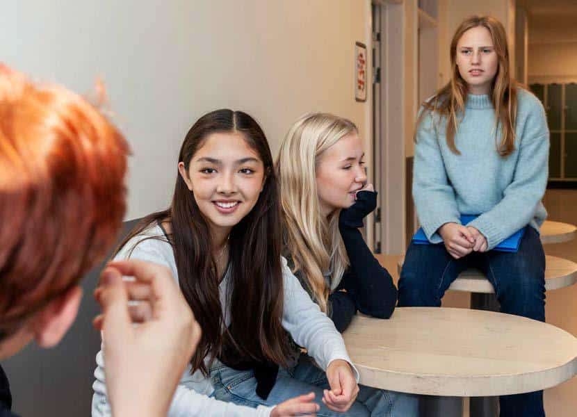 Photo from the cover of the Swedish national report. Showing Swedish young people in a conversation