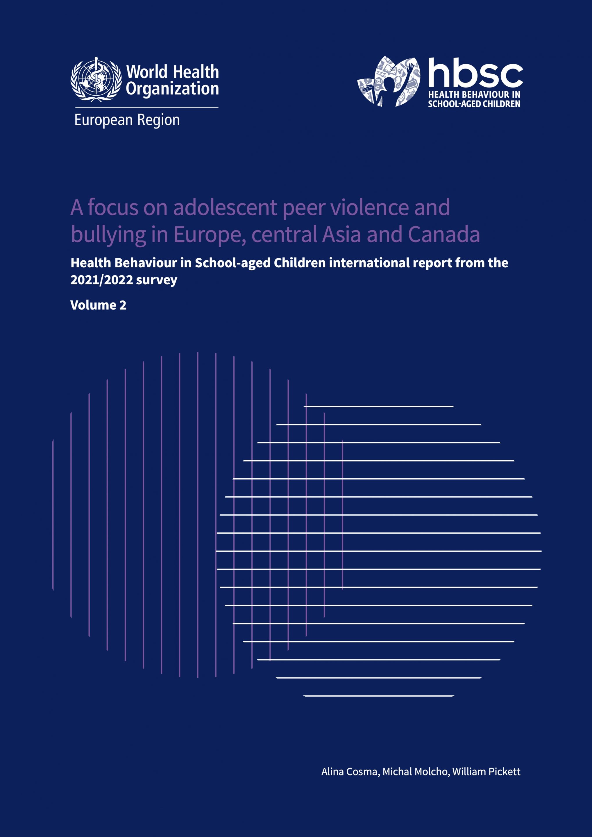 Cover image from volume 2 report on bullying and violence